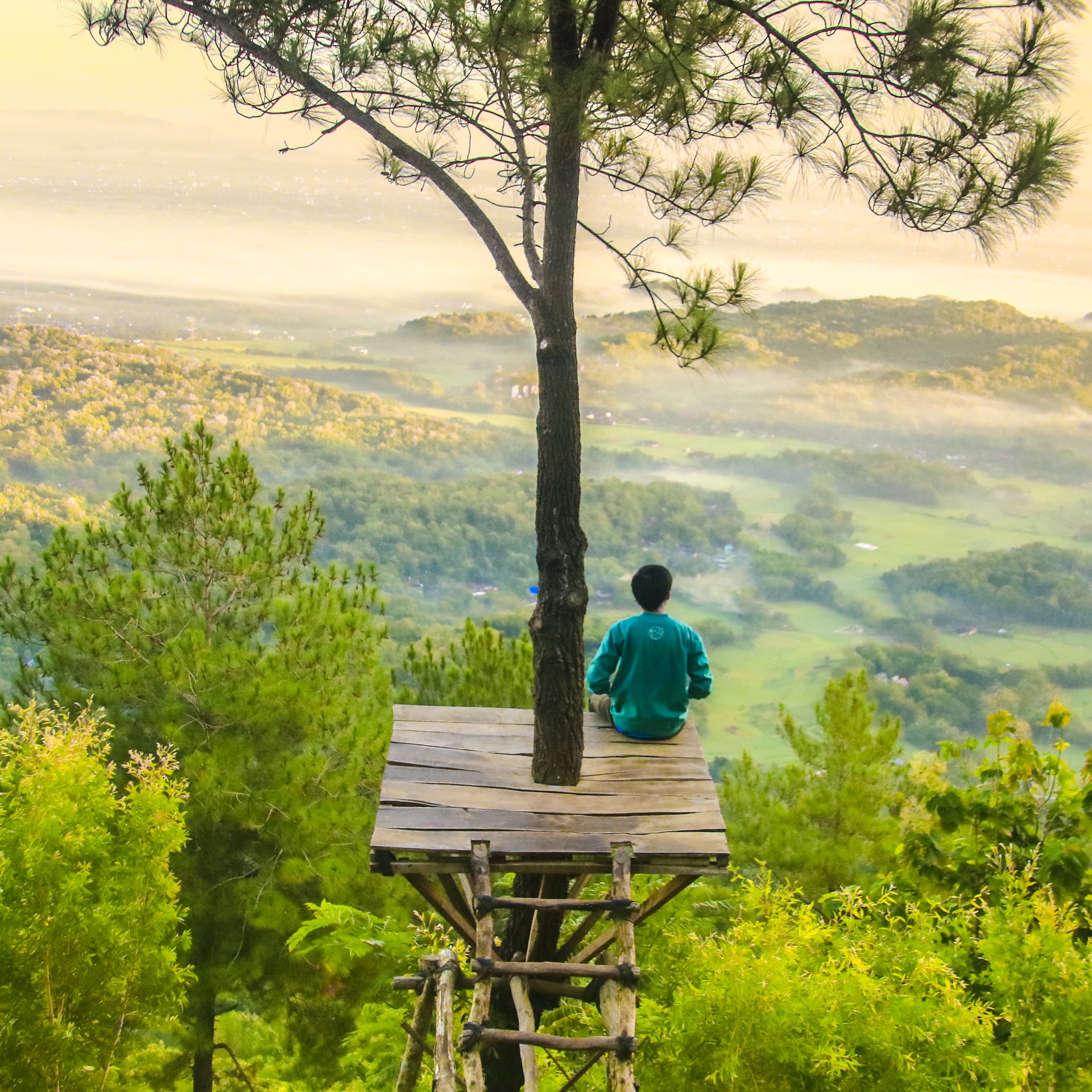 Rückansicht eines Menschen, der auf einer Baumplattform sitzt und auf eine teils neblige, teils sonnenbeschienene Landschaft hinausschaut